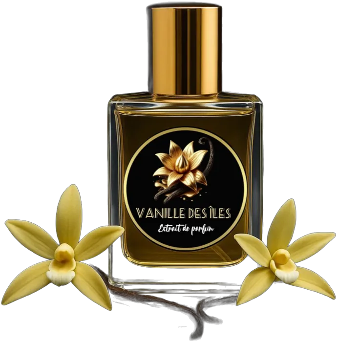 Find Your Scent